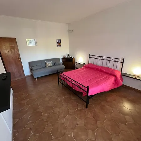 Paki House Luxury